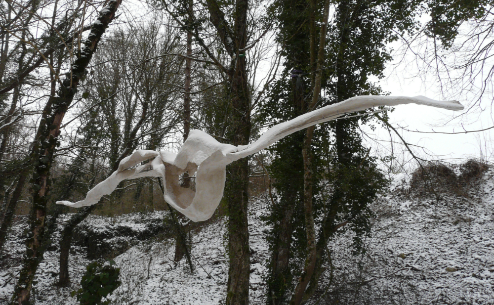 onde%20sonore%201140755